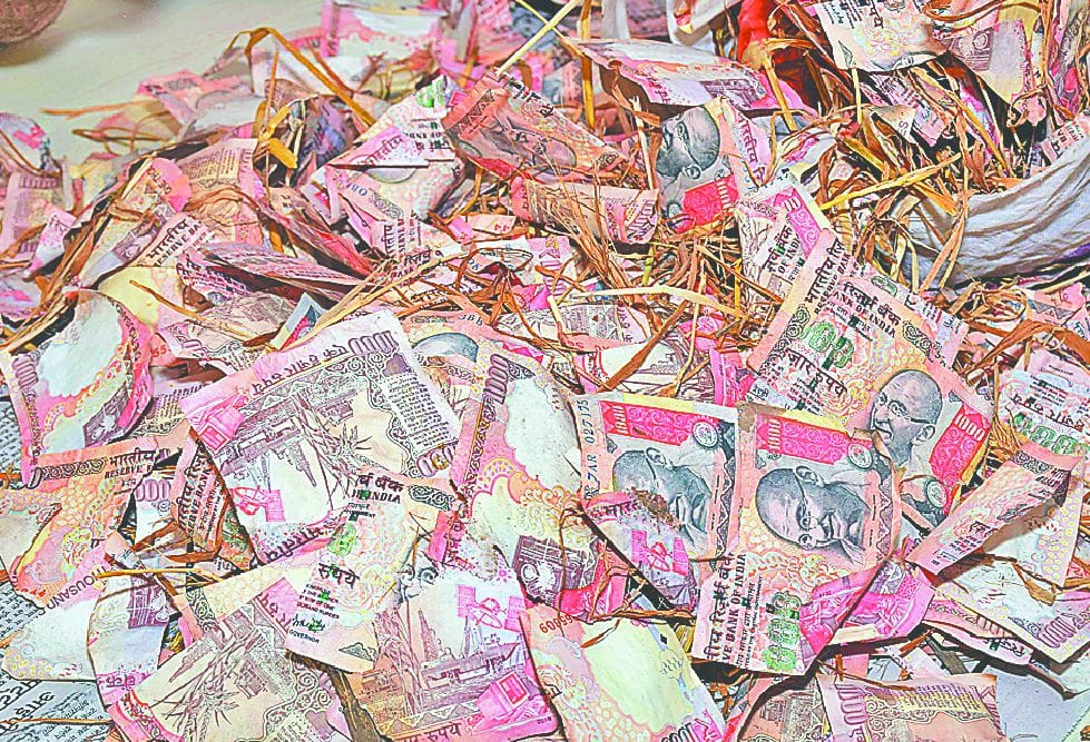 millions of one thousand rupees note  found in the field