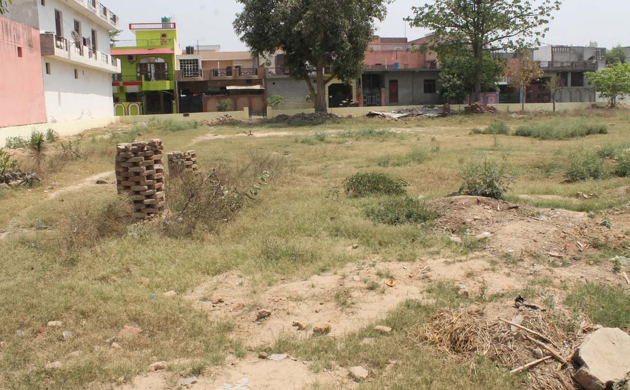 Roads, cleaners, electricity and water backward members