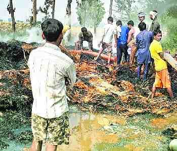 25 bigha wheat crop burnt to the fire