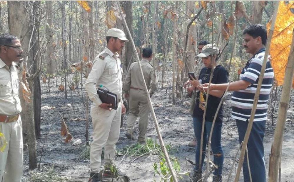 Elephant dead after electric shock in ramnagar