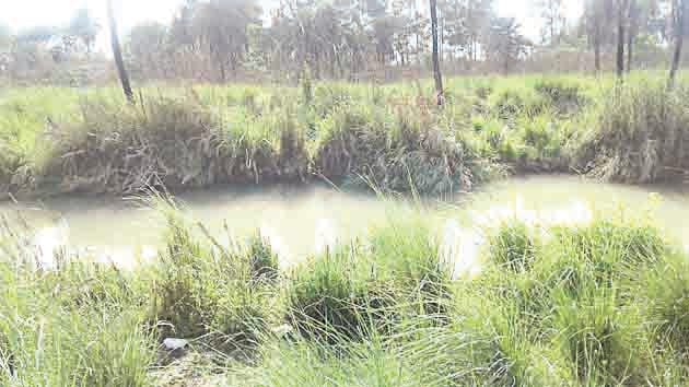 Missing students of Meerut missing on the banks of Mussoorie Canal