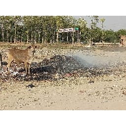 farmer agriculture small parts destroy FIR, officers to convay fifty ton kachra fired