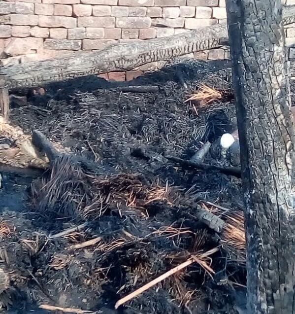 Three cattle die from fire