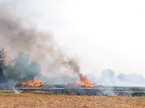 Many crops burnt by fire