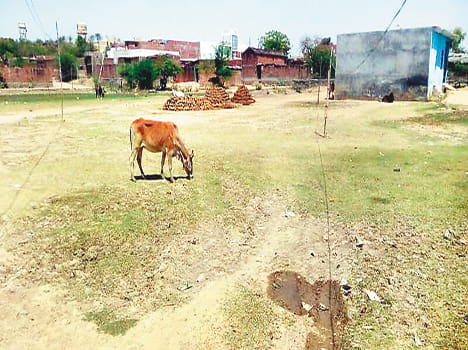 illegal occupation on chandelagaran pond 