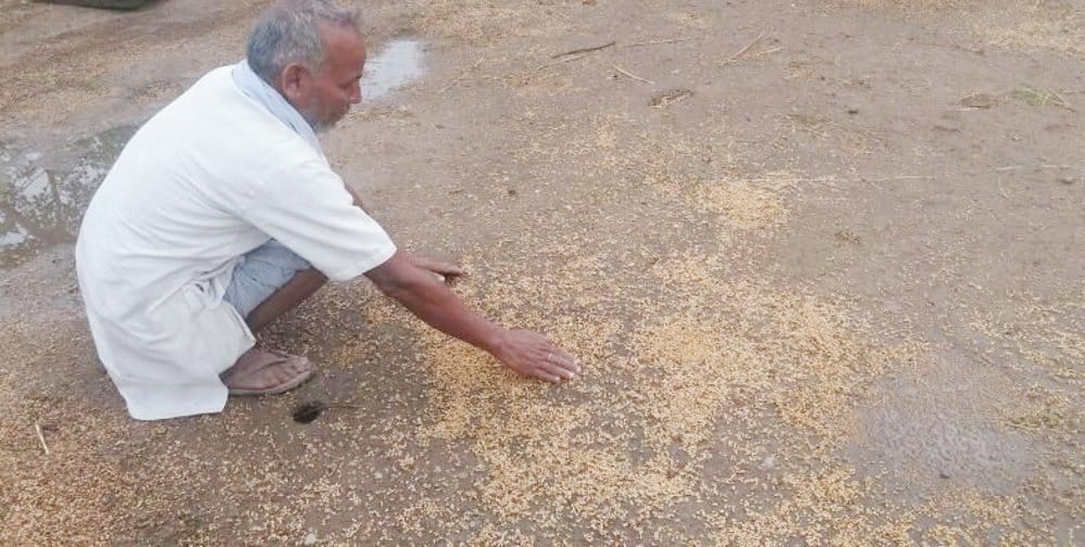  Chotar grains worth Rs 50 lakh every month