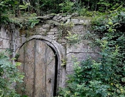 a model is hidden in this picture.