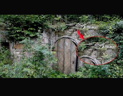 a model is hidden in this picture.