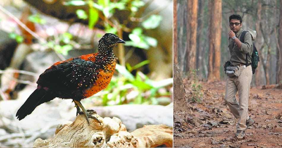 Bird watcher Siddharth, chandigarh news, Environment lover 