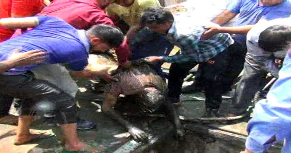  3 labourman killed while they are cleaning the siwer