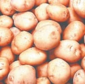 potato purchasing starts