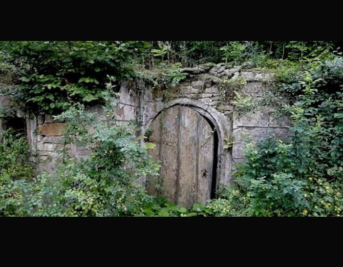 a model is hidden in this picture.