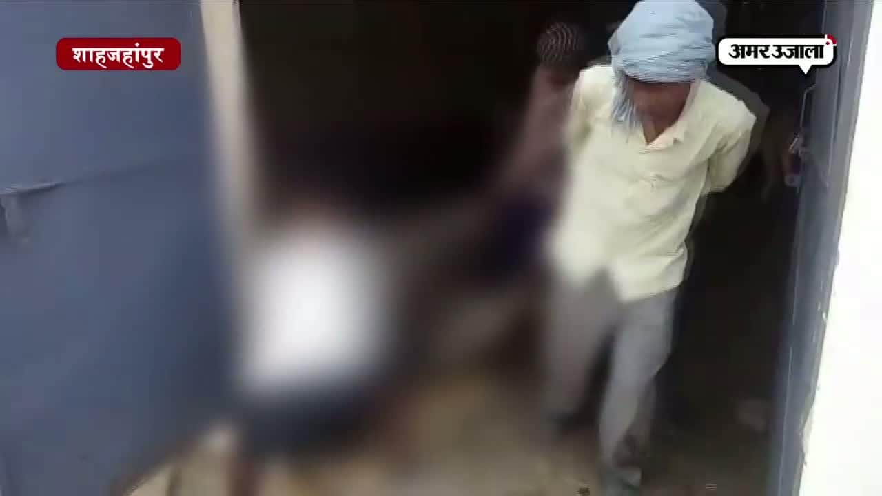 गौरक्षा के शोर में गायों की जाती जान