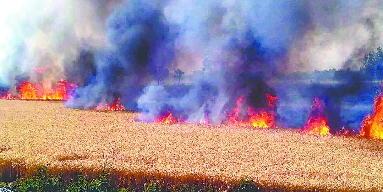 Flooding in the wheat farm, 23 acres of crop burns 