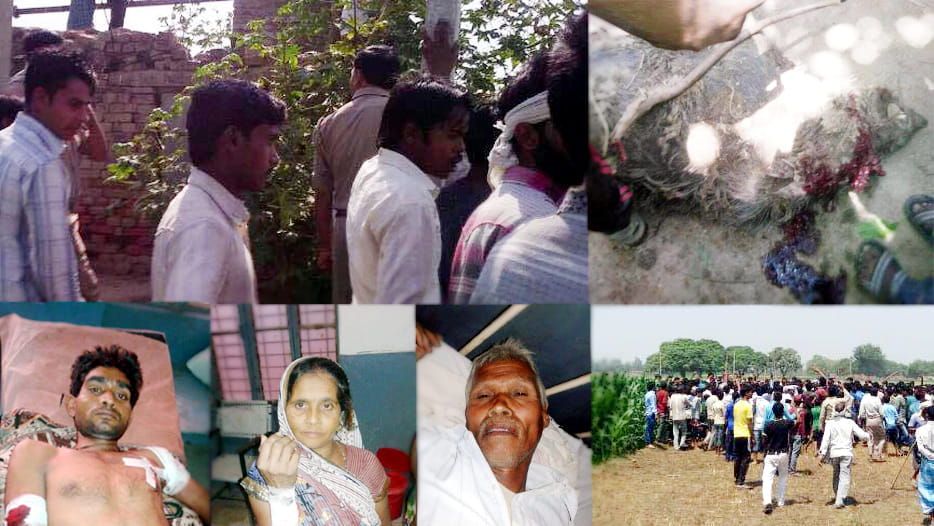 panic of wild beasts in farrukhabad