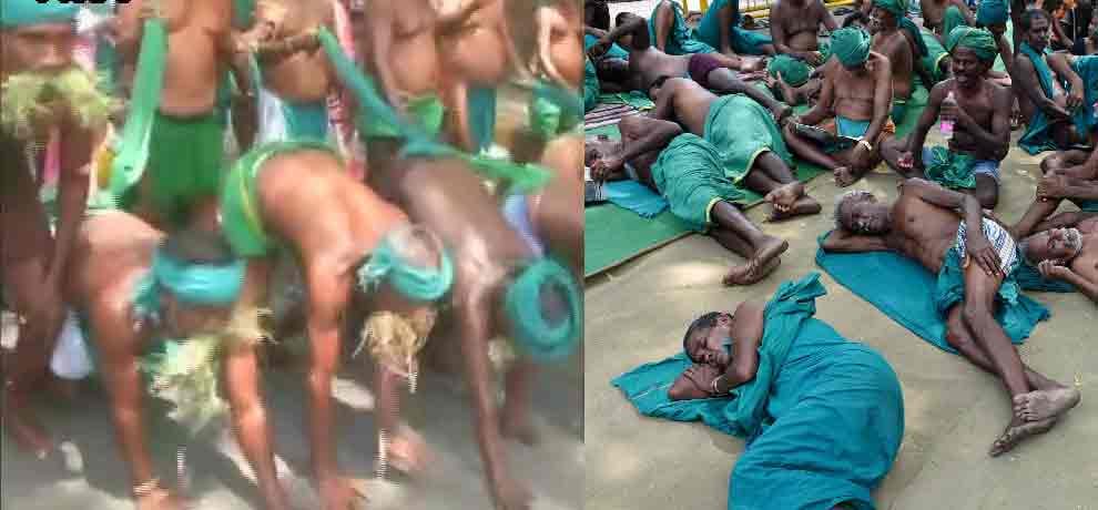 Tamil Nadu farmers eat grass protesting for drought relief funds in Delhi.