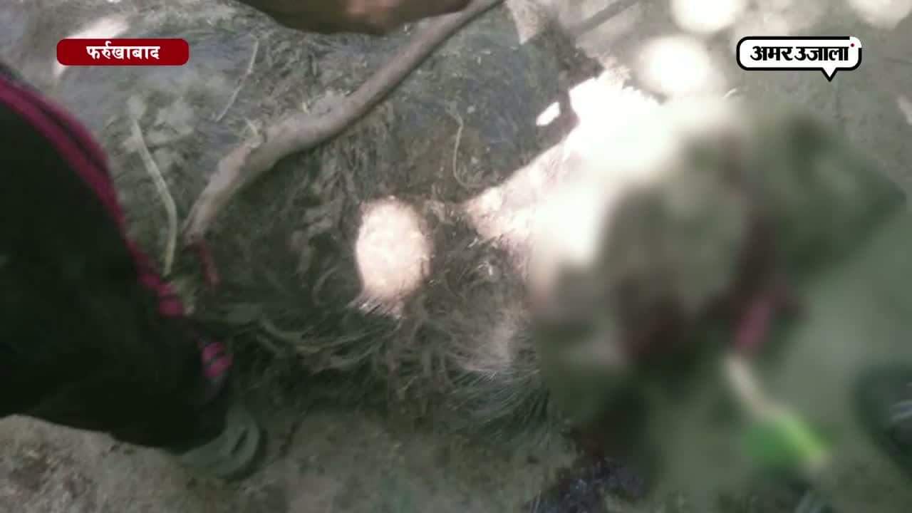 फर्रुखाबाद 