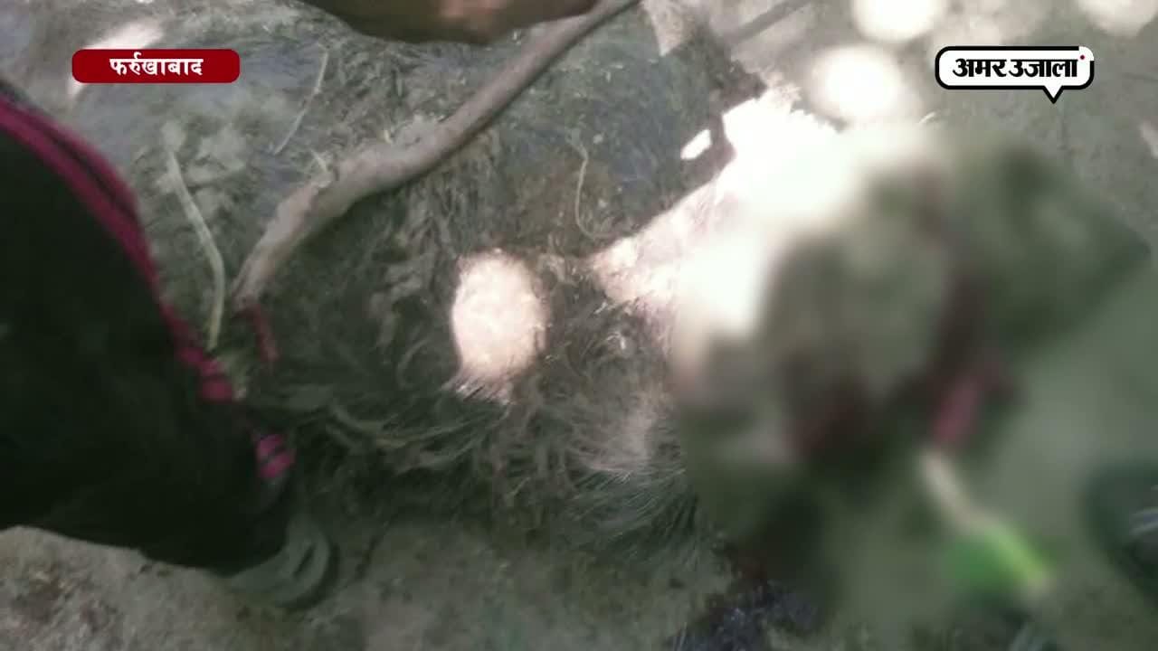 फर्रुखाबाद 