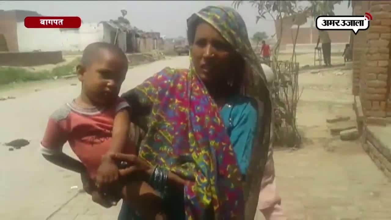 आदमखोर हो रहे आवारा कुत्ते