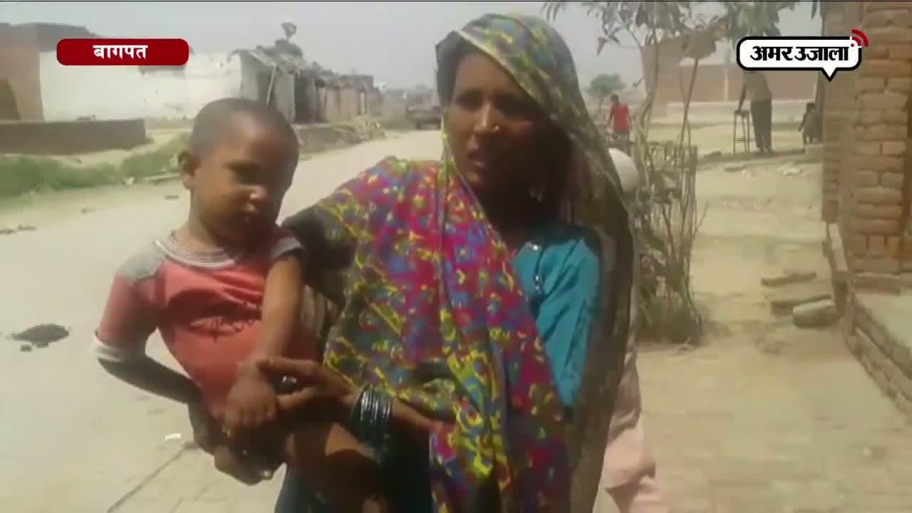 आदमखोर हो रहे आवारा कुत्ते