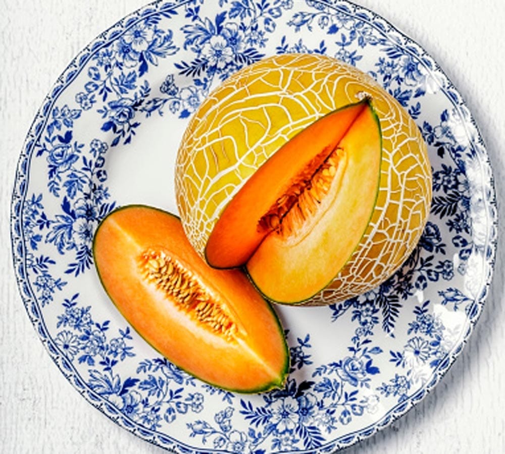 amazing health benefits of musk melon