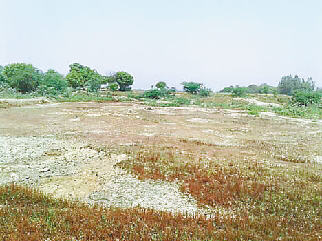Dust flying in ponds, how thirsty thirsty