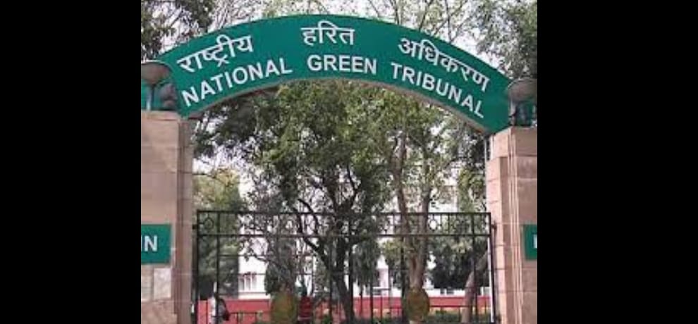ngt issued notice to delhi government and concerned autorites