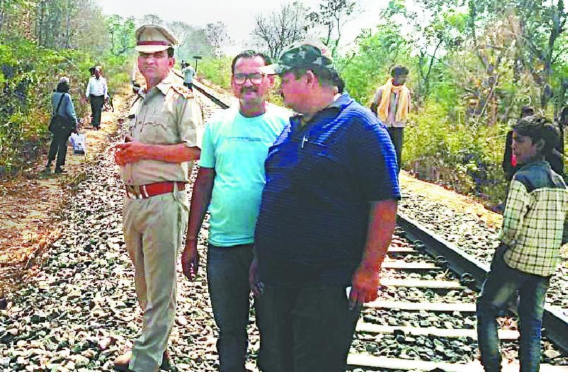 Two elephants die due to train injuries