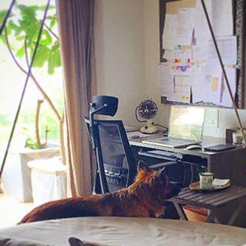 To See beautiful home of Akshay Kumar and Twinkle Khanna you will only say Wao!