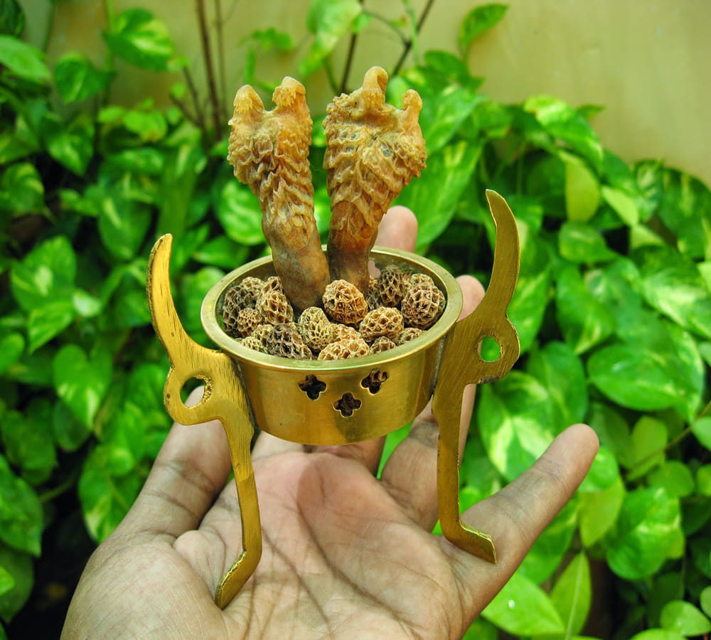 vaastu tips of hatha jodi 