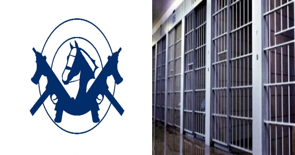  new terror link with khalistan zindabad force in punjab jails