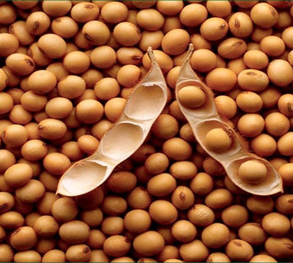 eat these things in breakfast to get glowing skin