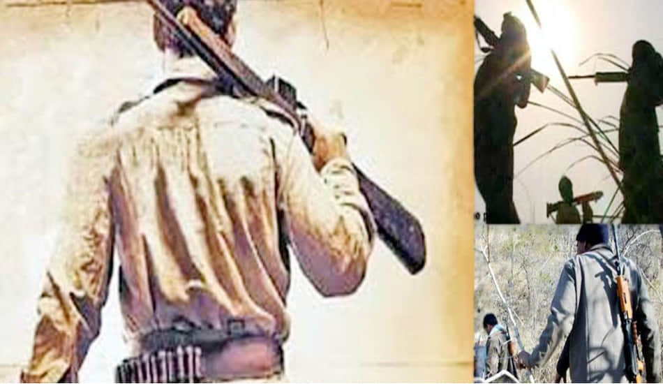 cm yogis minister says strategy for wreckage of dacoit