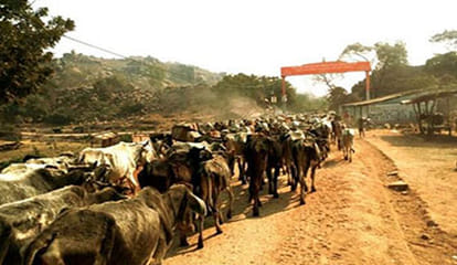 cm yogi says budalkhand connect to six lane express way