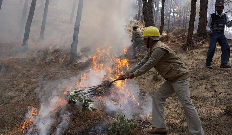 Fire drill in champawat