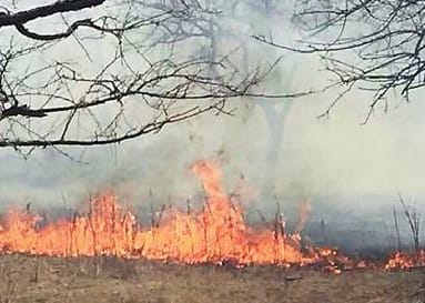 fire in mukundara tiger reserve of kota