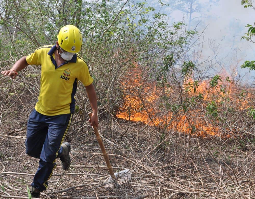 A fierce fire in the forests of Sauda Saroli