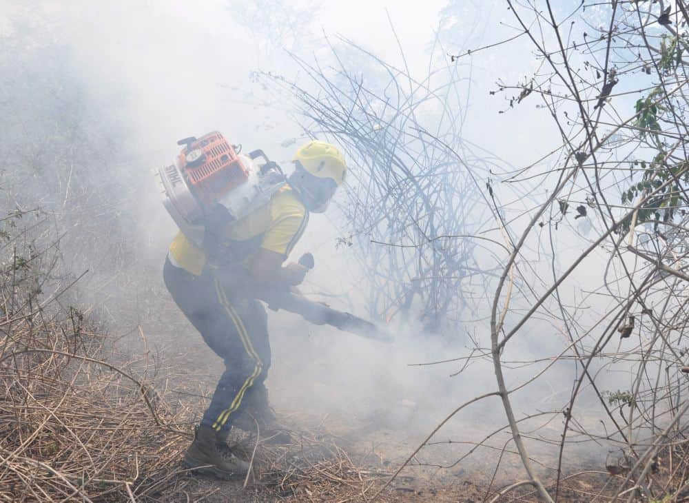 A fierce fire in the forests of Sauda Saroli