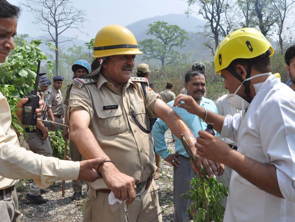 A fierce fire in the forests of Sauda Saroli