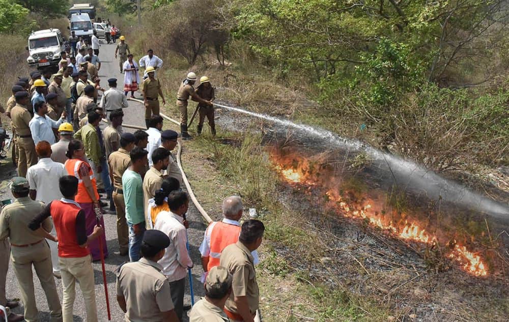 forest  caught fire during  Mock Drills  in haridwar