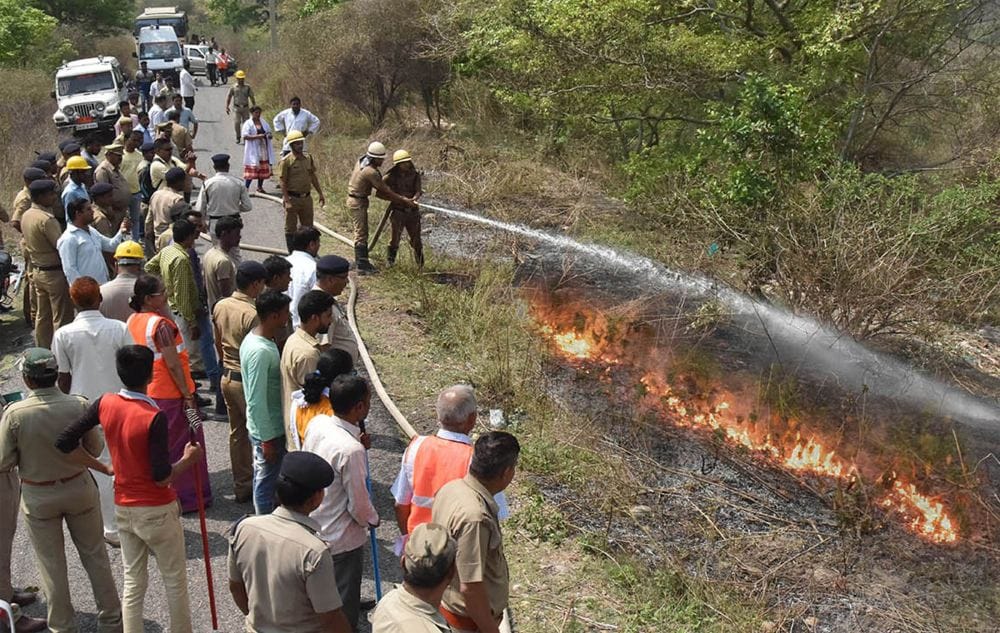 forest  caught fire during  Mock Drills  in haridwar