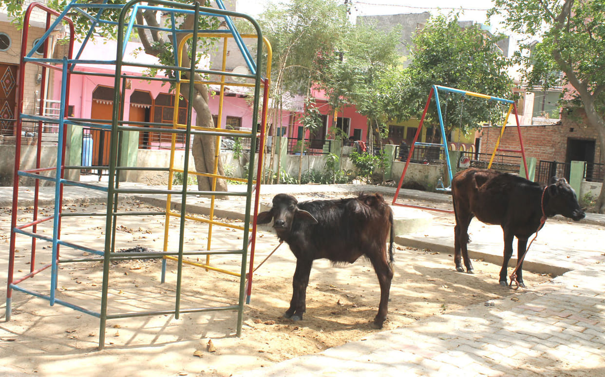Could not remove encroachment from parks, members
