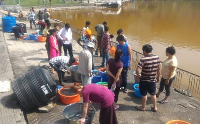 Thousands of fish found dead in Rewalsar lake in Mandi.