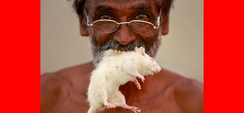 most bizzare protest at jantar mantar, this time man with modi mask attacks with hunter on farmers