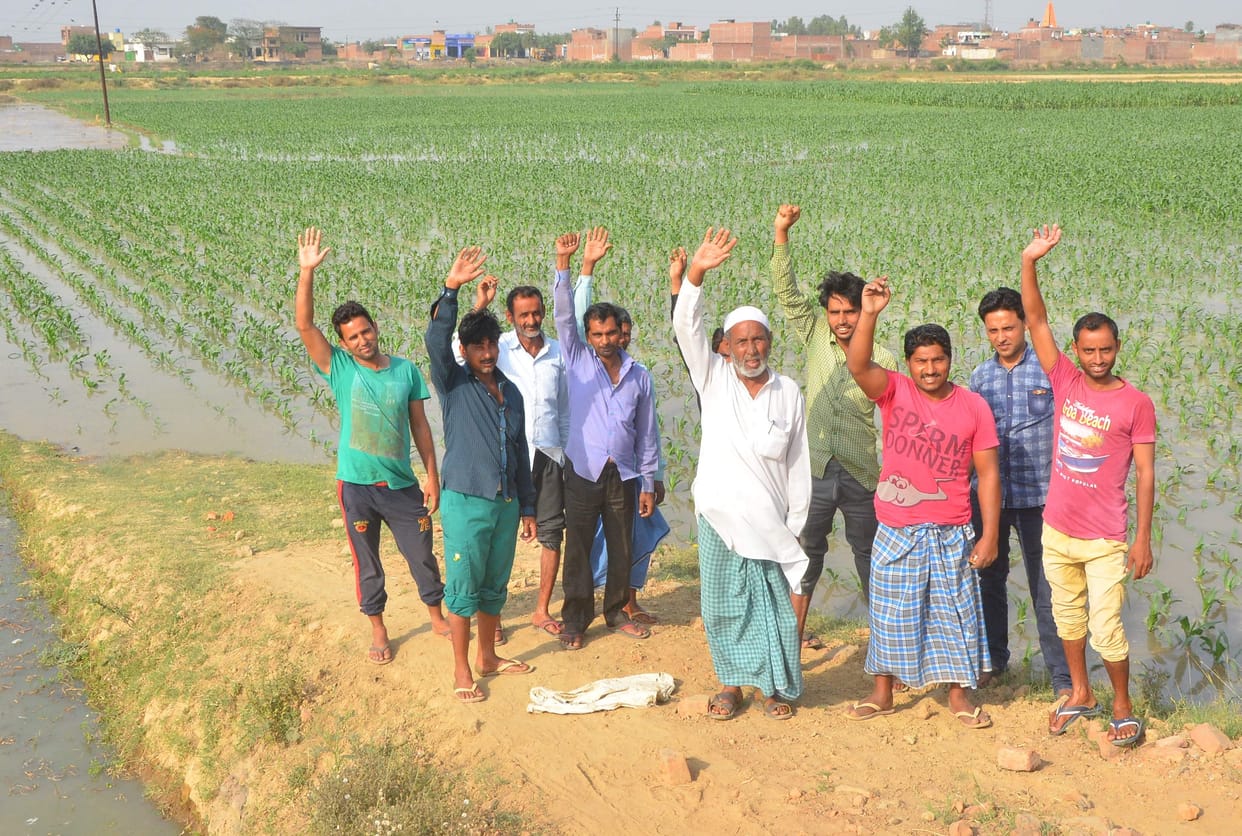 water raeched in field