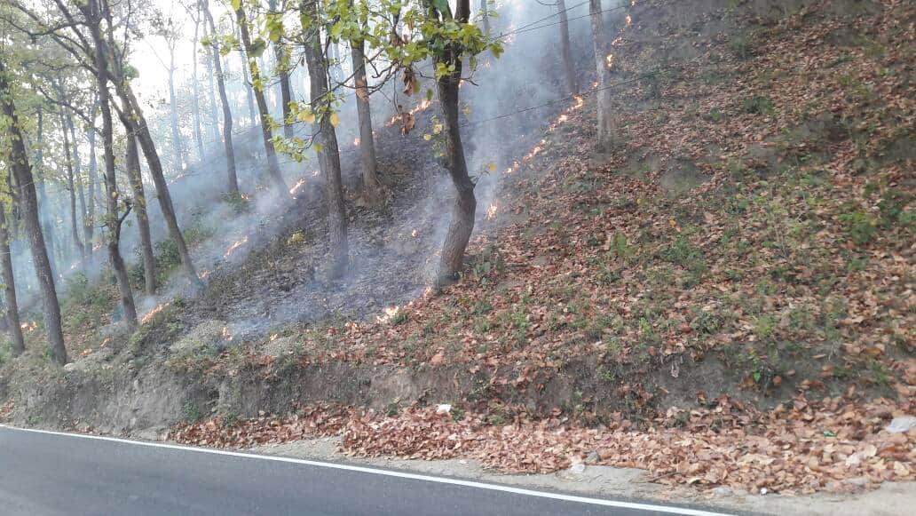 wildfire in dehradun jhajra range