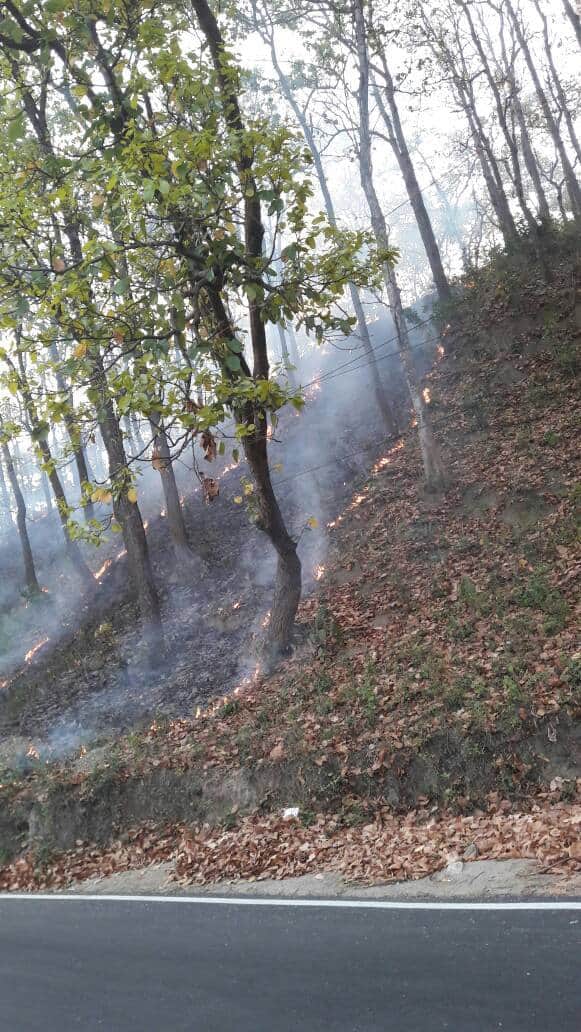 wildfire in dehradun jhajra range