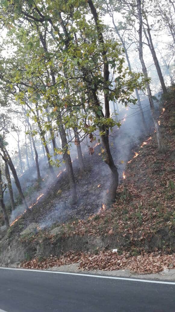 wildfire in dehradun jhajra range