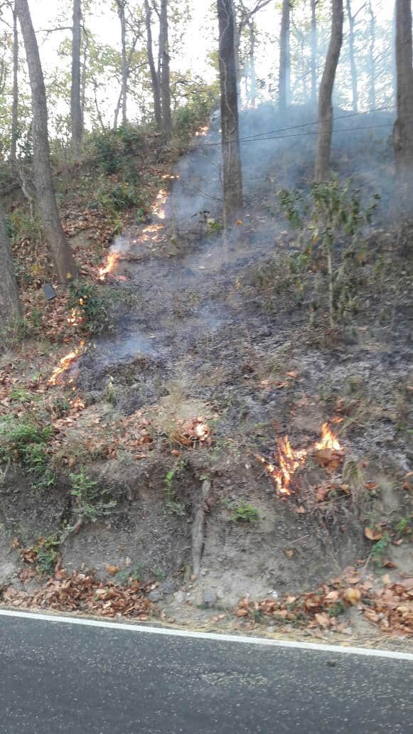 wildfire in dehradun jhajra range