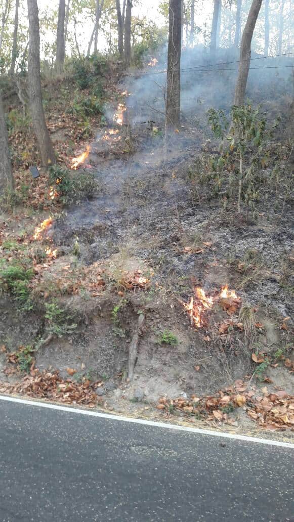 forest  caught fire during  Mock Drills  in haridwar